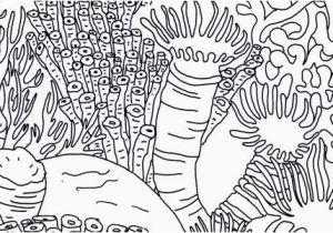 Coral Coloring Pages 10 Unique Coral Coloring Pages