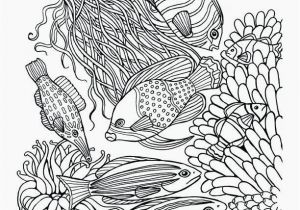 Coral Coloring Pages 10 Unique Coral Coloring Pages