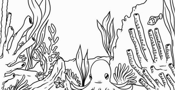 Coral Coloring Pages Coral Coloring Pages Inspirational How to Draw A Coral Reef Step 8