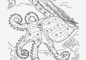 Coral Reef Coloring Page 20 Beautiful Coral Reef Animals and Plants Coloring Pages