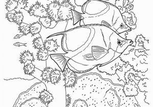 Coral Reef Coloring Page Best Coral Reef Coloring Page Coloring Pages