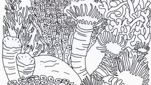 Coral Reef Coloring Page Best Coral Reef Coloring Page Coloring Pages