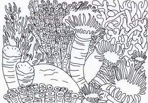 Coral Reef Coloring Page Best Coral Reef Coloring Page Coloring Pages