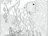 Coral Reef Coloring Page Best Coral Reef Coloring Page Coloring Pages