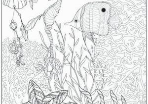 Coral Reef Coloring Page Best Coral Reef Coloring Page Coloring Pages