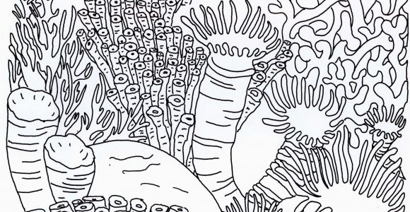 Coral Reef Coloring Page Best Coral Reef Coloring Page Coloring Pages