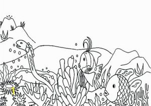 Coral Reef Coloring Page Coral Reef Coloring Pages Coral Reef Coloring Pages Printable