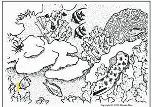 Coral Reef Coloring Page Coral Reef Coloring Pages Coral Reef Coloring Pages Simple Coral