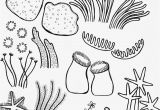 Coral Reef Coloring Page Drawing Underwater Coral Reef Coral Reef Pinterest