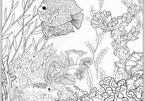 Coral Reef Coloring Pages Adult Coloring Book Coloring Page with Underwater World Coral Reef