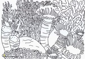 Coral Reef Coloring Pages Coral Reef Coloring Page Coral Reef Coloring Page Cool Printable