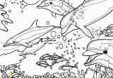 Coral Reef Coloring Pages Dolphin Coloring Pages Coral Reef Fish Dolphin Coloring Pagesfull