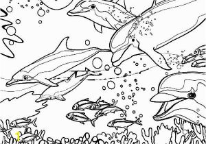 Coral Reef Coloring Pages Dolphin Coloring Pages Coral Reef Fish Dolphin Coloring Pagesfull