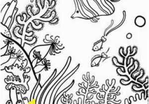 Coral Reef Coloring Pages Drawing Underwater Coral Reef Coral Reef Pinterest