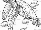 Coral Reef Coloring Pages to Print Coloring Pages Coral Reef Sketchbook