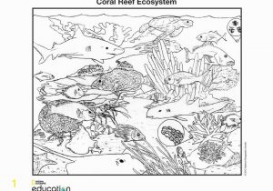 Coral Reef Coloring Pages to Print Coral Reef Coloring Download Coral Reef Coloring for Free