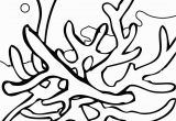 Coral Reef Coloring Pages to Print Coral Reef Coloring Download Coral Reef Coloring for Free
