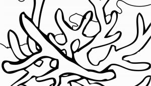 Coral Reef Coloring Pages to Print Coral Reef Coloring Download Coral Reef Coloring for Free