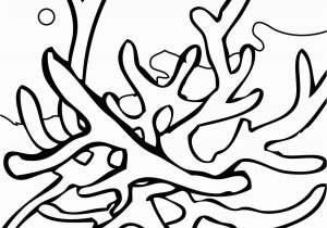 Coral Reef Coloring Pages to Print Coral Reef Coloring Download Coral Reef Coloring for Free