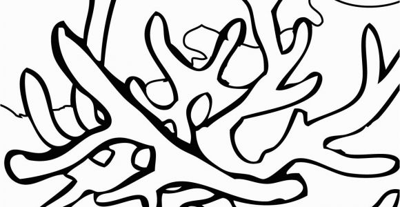 Coral Reef Coloring Pages to Print Coral Reef Coloring Download Coral Reef Coloring for Free