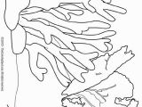 Coral Reef Coloring Pages to Print Coral Reef Coloring Pages Educational