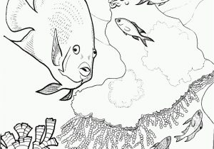 Coral Reef Coloring Pages to Print Coral Reef Coloring Pages for Kids Coloring Home