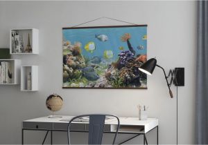 Coral Reef Wall Mural Panorama Coral Reef Affordable Poster Wall