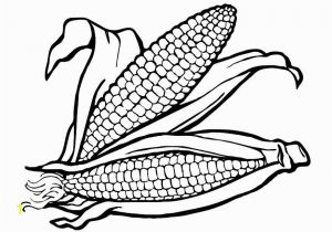 Corn On the Cob Coloring Page Corn the Cob Coloring Page Coloring Pages