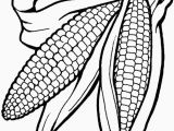 Corn On the Cob Coloring Page Corn the Cob Coloring Page Elegant Corn the Cob