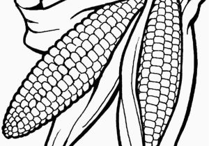 Corn On the Cob Coloring Page Corn the Cob Coloring Page Elegant Corn the Cob