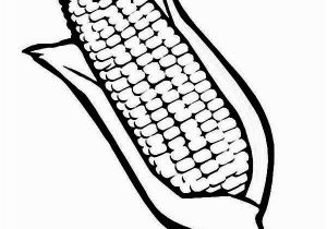 Corn On the Cob Coloring Page Drawing Corn Cob Coloring Page Drawing Corn Cob Coloring