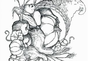 Cornucopia Basket Coloring Page Cornucopia Coloring Page Cornucopia Colouring Page Cornucopia