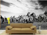 Cowboy Wallpaper Murals 23 Best Horse Wall Murals Images