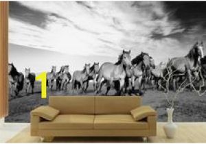 Cowboy Wallpaper Murals 23 Best Horse Wall Murals Images