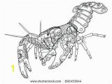 Crayfish Coloring Page 15 Unique Crayfish Coloring Page