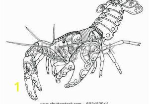 Crayfish Coloring Page 15 Unique Crayfish Coloring Page