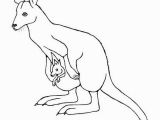 Crayfish Coloring Page Wallaby Google Search