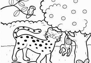 Creation Story Coloring Pages Bible Story Coloring Page Learn & Play