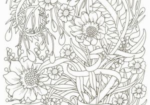 Creative Coloring Botanicals Art Activity Pages to Relax and Enjoy Coloring Can Be A Deeply Relaxing Meditative Creative Experience