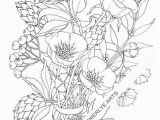 Creative Coloring Botanicals Art Activity Pages to Relax and Enjoy Poppy Love An Adult Coloring Page by Cynthia Emerlye Available as