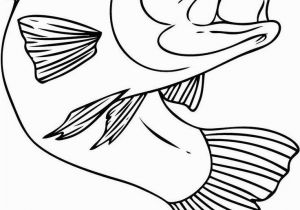 Creature From the Black Lagoon Coloring Pages Chinook Salmon Coloring Page Inspirational Authentic Creature From