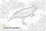 Crested Gecko Coloring Page 30 Gecko Coloring Pages Mycoloring Mycoloring