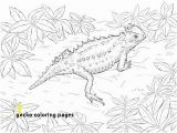 Crested Gecko Coloring Page 30 Gecko Coloring Pages Mycoloring Mycoloring