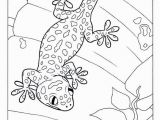 Crested Gecko Coloring Page 30 Gecko Coloring Pages Mycoloring Mycoloring
