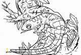 Crested Gecko Coloring Page 30 Gecko Coloring Pages Mycoloring Mycoloring