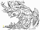 Crested Gecko Coloring Page 30 Gecko Coloring Pages Mycoloring Mycoloring