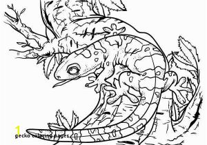 Crested Gecko Coloring Page 30 Gecko Coloring Pages Mycoloring Mycoloring