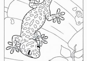 Crested Gecko Coloring Page 30 Gecko Coloring Pages Mycoloring Mycoloring