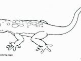 Crested Gecko Coloring Page 30 Gecko Coloring Pages Mycoloring Mycoloring