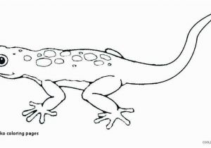 Crested Gecko Coloring Page 30 Gecko Coloring Pages Mycoloring Mycoloring